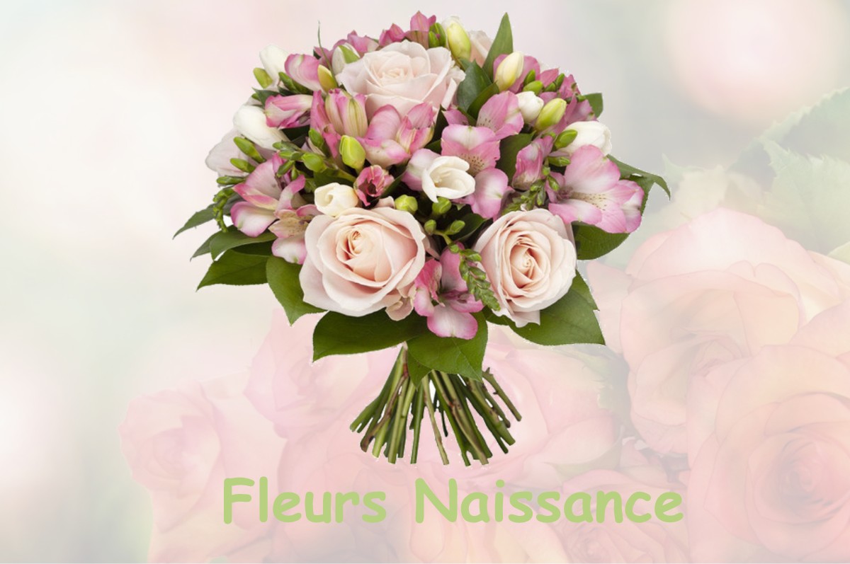 fleurs naissance SAUGNACQ-ET-MURET